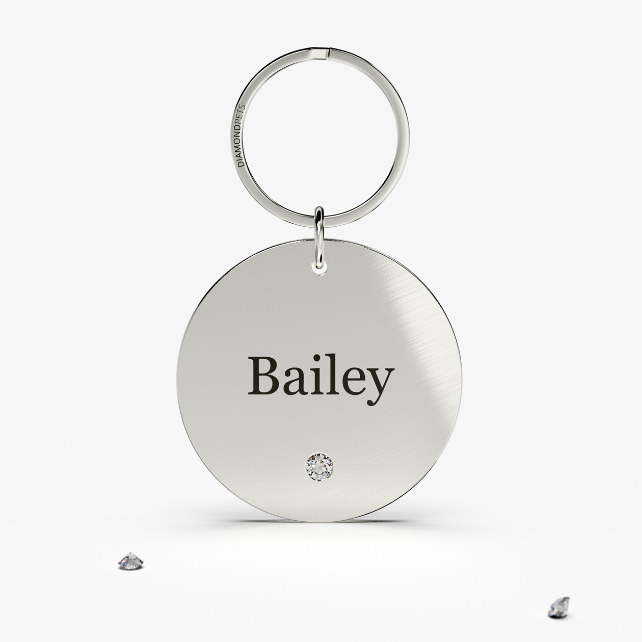 STAINLESS STEEL CLASSIC ROUND PET NAME TAG FRONT SERIF DIAMOND